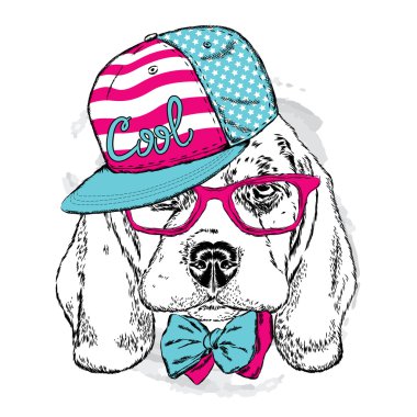 Sevimli köpek yavrusu bir şapka, güneş gözlüğü ve kravat giyiyor . Vektör illüstrasyon. kartpostallar için bir köpek portresi, giysi veya aksesuarları baskılar .