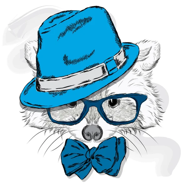 可爱浣熊帽子和太阳镜。动物的服装。赶时髦的人. — 图库矢量图片