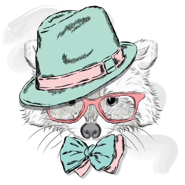可爱浣熊帽子和太阳镜。动物的服装。赶时髦的人. — 图库矢量图片