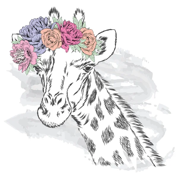 Giraffa in corona di fiori . — Vettoriale Stock
