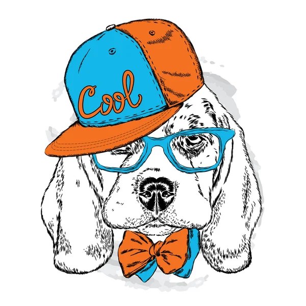 Cute puppy noszenie czapki, okulary i krawat. Ilustracja wektorowa. Portret psa na pocztówki, nadruki na ubraniach lub akcesoriach . — Wektor stockowy