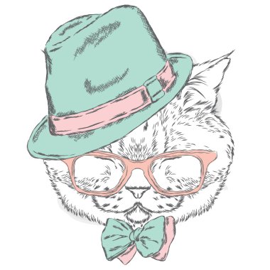 Komik kedi bir şapka ve güneş gözlüğü. Vektör çizim.