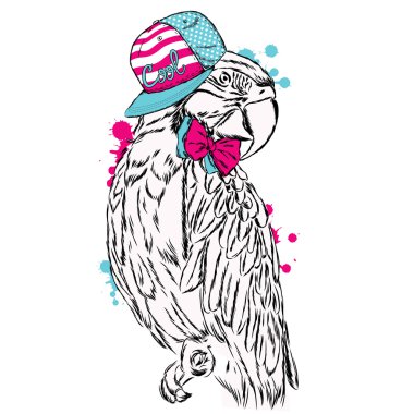 Komik papağan bir şapkası. Vektör çizim.