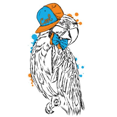 Komik papağan bir şapkası. Vektör çizim.