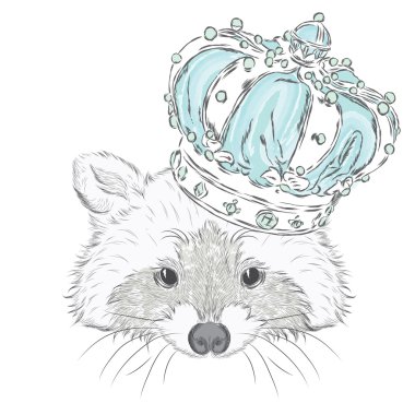 Rakun Crown. Vektör çizim.