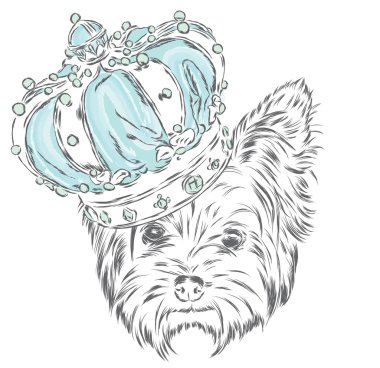 Taç York'ta. Köpek. Vektör çizim. Kral.