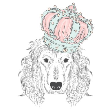 Bir taç giyen İspanyol. Vektör çizim. Sevimli köpek.