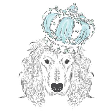 Bir taç giyen İspanyol. Vektör çizim. Sevimli köpek.