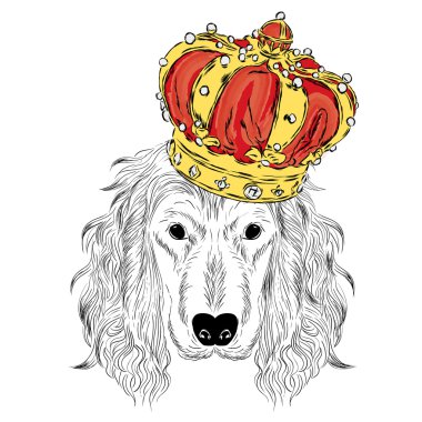 Bir taç giyen İspanyol. Vektör çizim. Sevimli köpek.