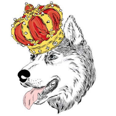 Husky Crown. Vektör çizim. Sevimli köpek.