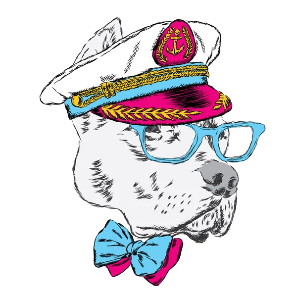 Pitbull w captain's cap. Zabawny pies. Ilustracja wektorowa. — Wektor stockowy