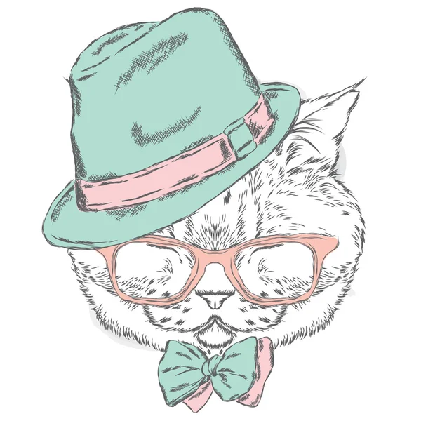 Grappige kat in een hoed en zonnebril. Vectorillustratie. — Stockvector