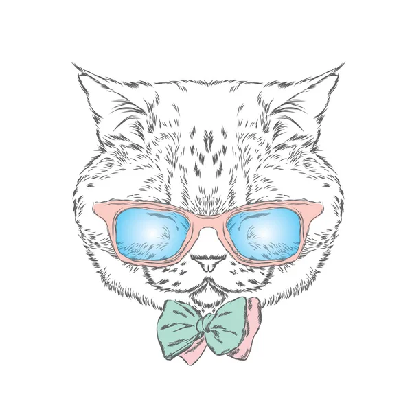 Смешная кошка в галстуке и очках. Векторная иллюстрация . — стоковый вектор