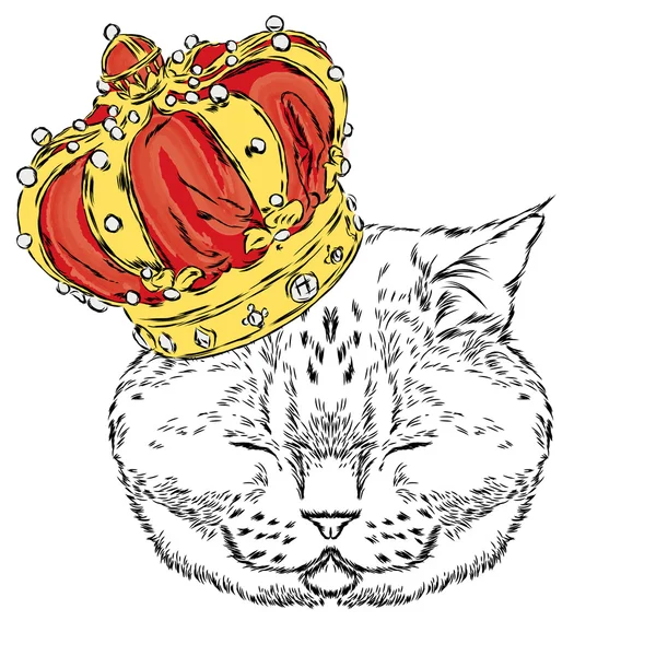 Un drôle de chat dans la couronne. Illustration vectorielle pour une carte ou une affiche. Impressions sur les vêtements ou accessoires . — Image vectorielle