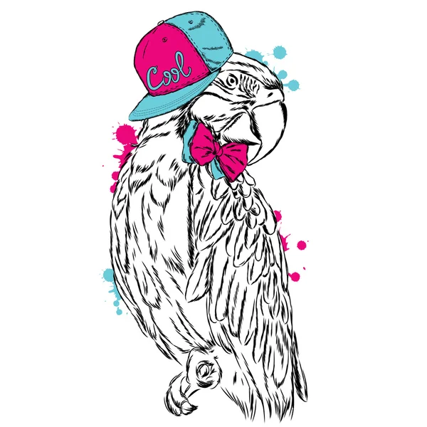 Divertente pappagallo con un cappello. Illustrazione vettoriale . — Vettoriale Stock