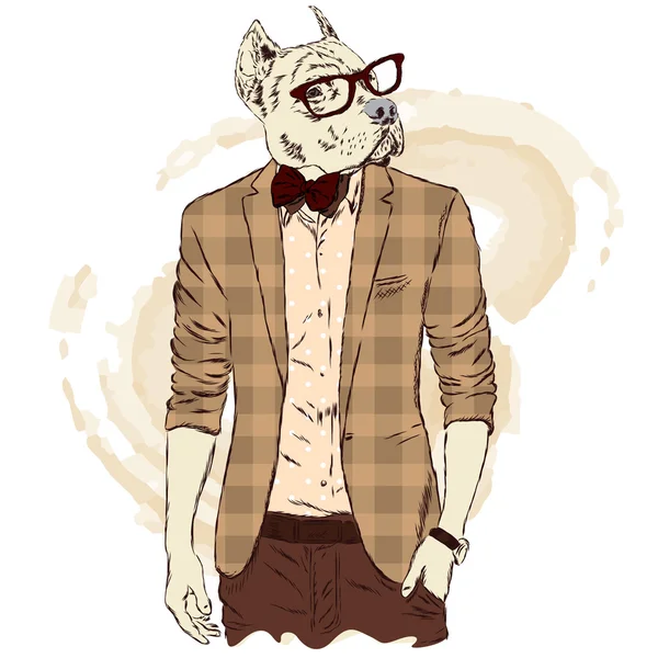 Pitbull-Hipster in Jacke und Sonnenbrille. Vektorillustration. der Druck auf dem Cover, der Kleidung oder der Karte . — Stockvektor