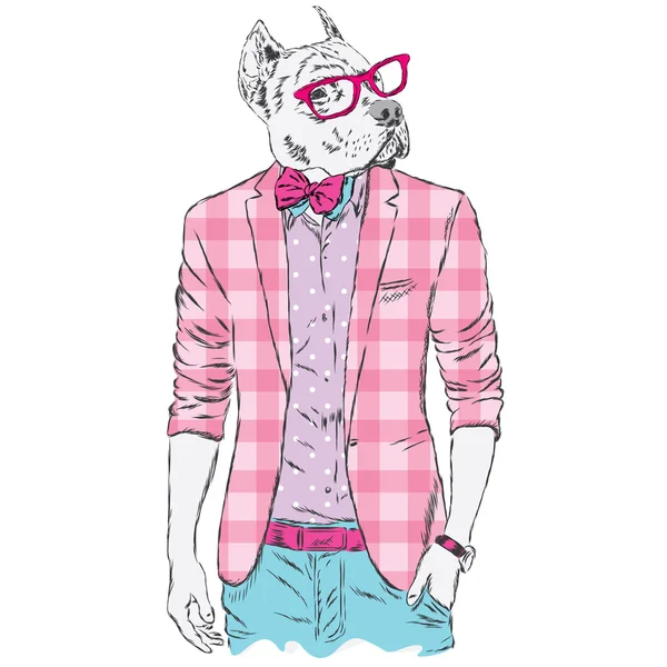 Pitbull hipster in giacca e occhiali da sole. Illustrazione vettoriale. La stampa sulla copertina, abbigliamento o carta  . — Vettoriale Stock