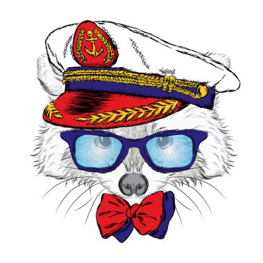 Kaptan'ın Cap şirin Rakun. Vektör çizim. Yazdır.