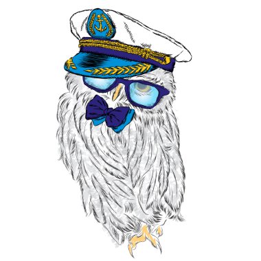 Kaptan'ın Cap baykuş. Vektör çizim.