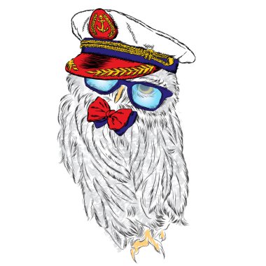 Kaptan'ın Cap baykuş. Vektör çizim.