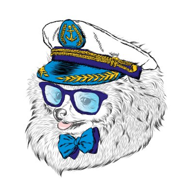 Kaptan'ın Cap şirin köpek. Vektör çizim. Yazdır.