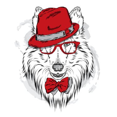 Cins köpekler elle boyanmış. Kömür ocağı bir şapka ve güneş gözlüğü takıyor. Vektör çizim.