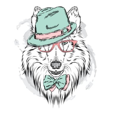 Cins köpekler elle boyanmış. Kömür ocağı bir şapka ve güneş gözlüğü takıyor. Vektör çizim.