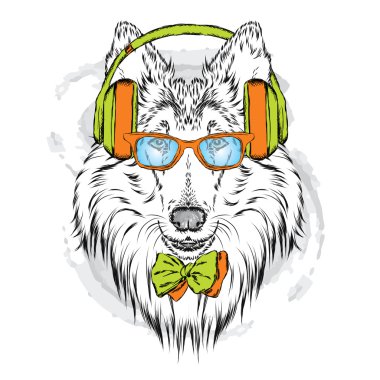 Cins köpekler elle boyanmış. Kömür ocağı kulaklık ve güneş gözlüğü takıyor. Vektör çizim.