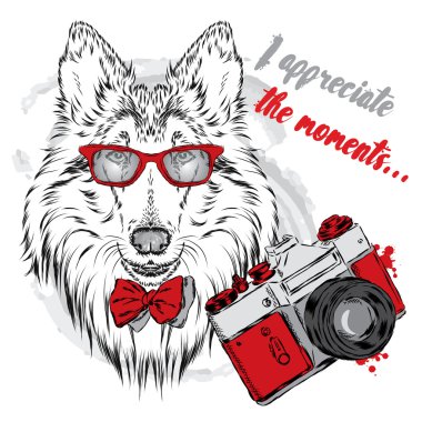 Cins köpekler elle boyanmış. Kömür ocağı ile bir fotoğraf makinesi. Vektör çizim.