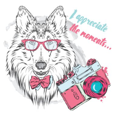 Cins köpekler elle boyanmış. Kömür ocağı ile bir fotoğraf makinesi. Vektör çizim.