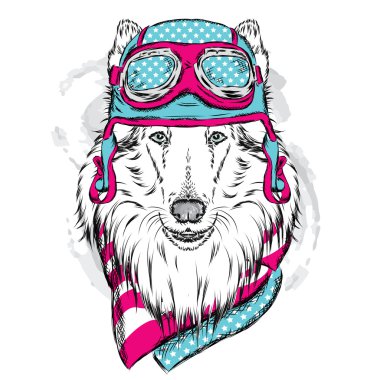 Köpek bir kask ve eşarp takıyor. Kömür ocağı-pilot. Vektör çizim.