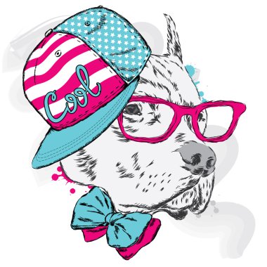 Pitbull cap ve kravat. Köpek vektör.