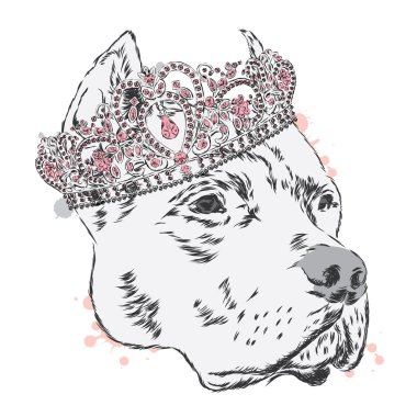 Pitbull in the crown. Dog vector. Vector illustration for greeting card, poster, or print on clothes. vector