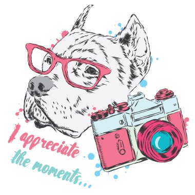Pit bull ile bir fotoğraf makinesi. Köpek vektör. Hippi. Fotoğrafçı.