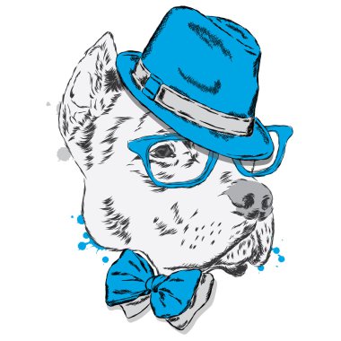 Pit bull bir şapka ve kravat. Köpek vektör. Vektör çizim tebrik kartı, poster ya da giyim üzerine baskı için.