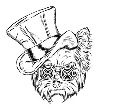 Garip bir şapka ve güneş gözlüğü komik köpek yavrusu. Vektör çizim. Yorkshire korkunç.