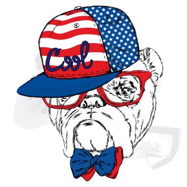 Bir şapka ve güneş gözlüğü takmış bulldog.
