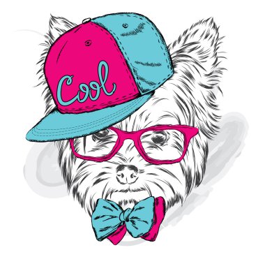 Şirin köpek yavrusu vektör. Yorkshire korkunç bir şapka ve güneş gözlüğü takmış.