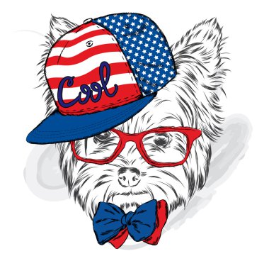Şirin köpek yavrusu vektör. Yorkshire korkunç bir şapka ve güneş gözlüğü takmış.