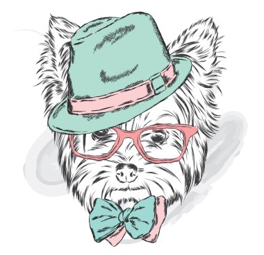 Şirin köpek yavrusu vektör. Yorkshire korkunç bir şapka ve güneş gözlüğü.