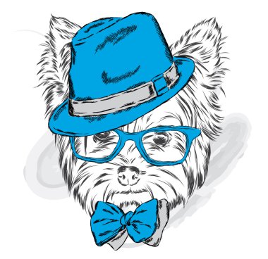 Şirin köpek yavrusu vektör. Yorkshire korkunç bir şapka ve güneş gözlüğü.