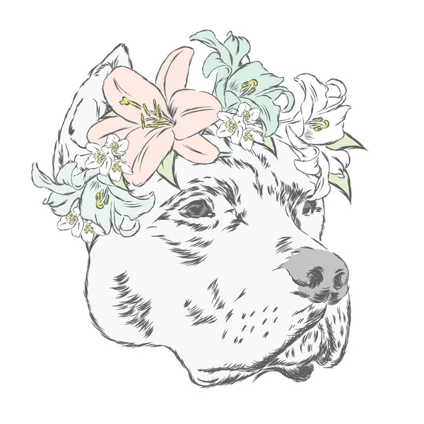 Pitbull dans une couronne de fleurs. Illustration vectorielle . — Image vectorielle