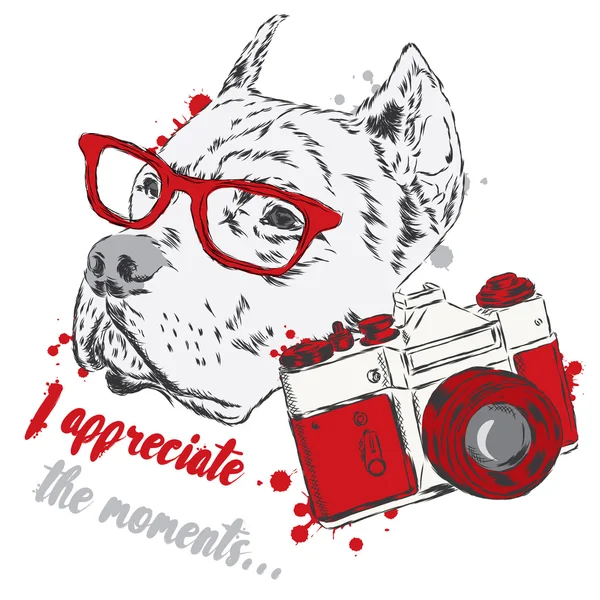 Pit bull con una cámara. Vector perro. Hipster. Fotógrafo . — Archivo Imágenes Vectoriales