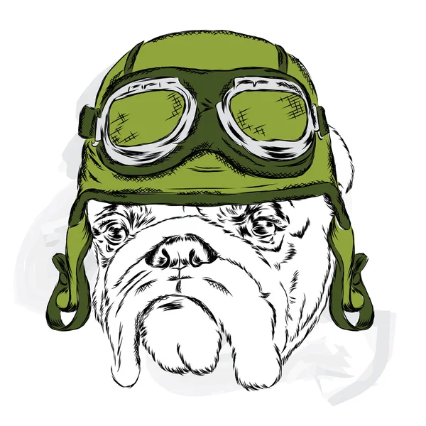Bulldog wearing a helmet. Racer. Pilot. Vector illustration for greeting card, poster, or print on clothes. — Stock Vector