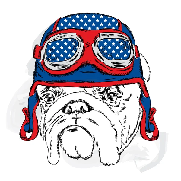 Bulldog sisakot viselő. Versenyző. Pilóta. Vektoros illusztráció üdvözlés kártya, poszter vagy nyomtatási ruhák. — Stock Vector