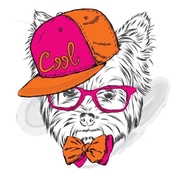 Bel vettore per cuccioli. Yorkshire Terrier indossa un cappello e occhiali da sole . — Vettoriale Stock