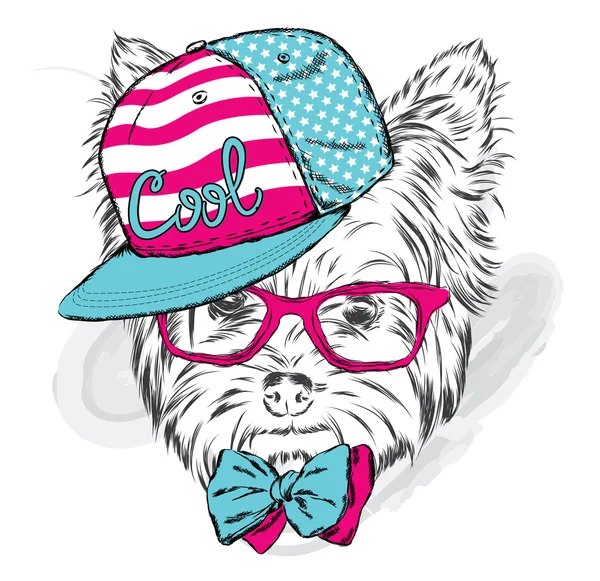 Roztomilé štěně vektor. Jorkšírský teriér nosit čepici a brýle. — Stockový vektor