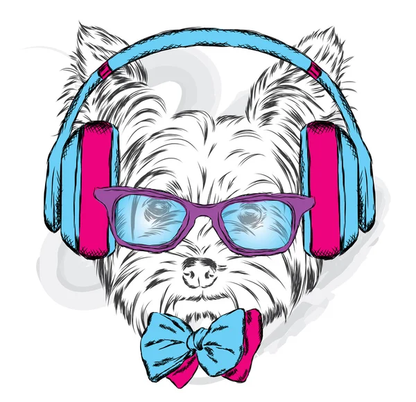 可爱的小狗矢量。约克夏犬带耳机和太阳眼镜. — 图库矢量图片