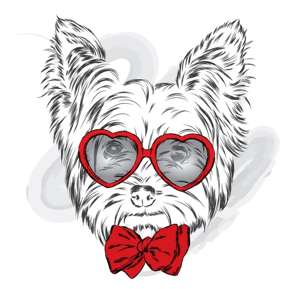 可爱的小狗矢量。戴眼镜和领带的约克 . — 图库矢量图片
