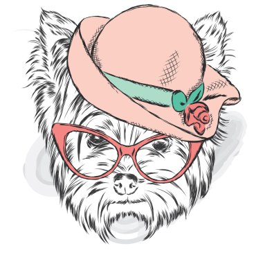 Yorkshire korkunç bir Bayan şapka ve güneş gözlüğü. Vektör çizim.